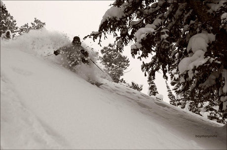 person skiing