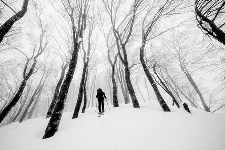 Avalanche Report Basics