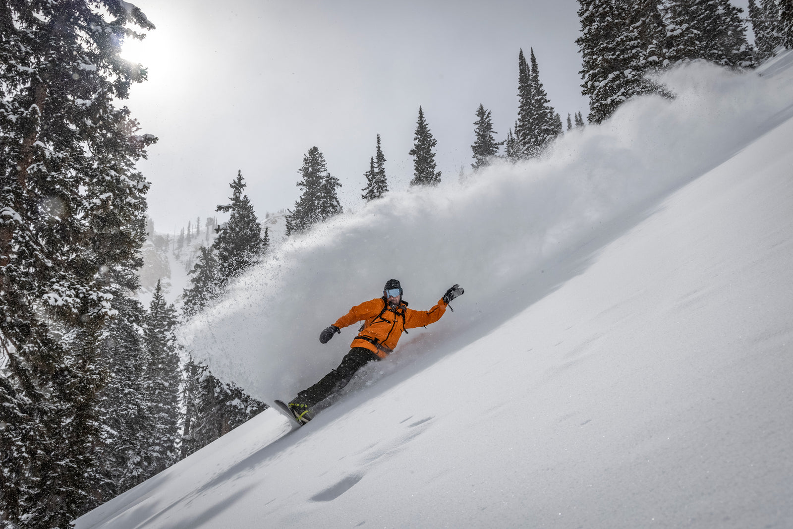 Early Season Survival  Guide