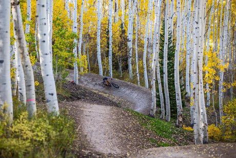 Fall Mountain Bike Layering Guide