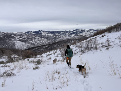 Winter Weather Dog Walkin’ Considerations & Care