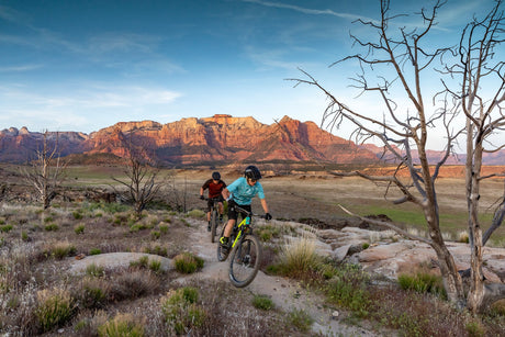 Where Can You Find A Bike This Season?!