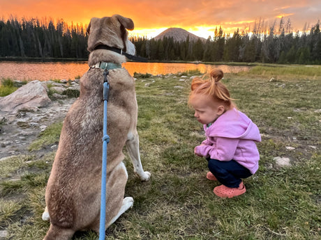 The Best Dog-Friendly Camping Spots in Utah