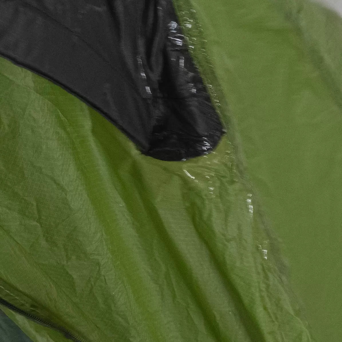 1 PersonGreen