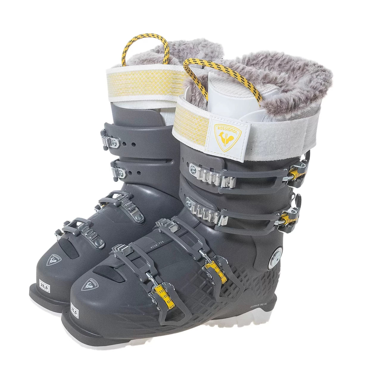 25.5Gray