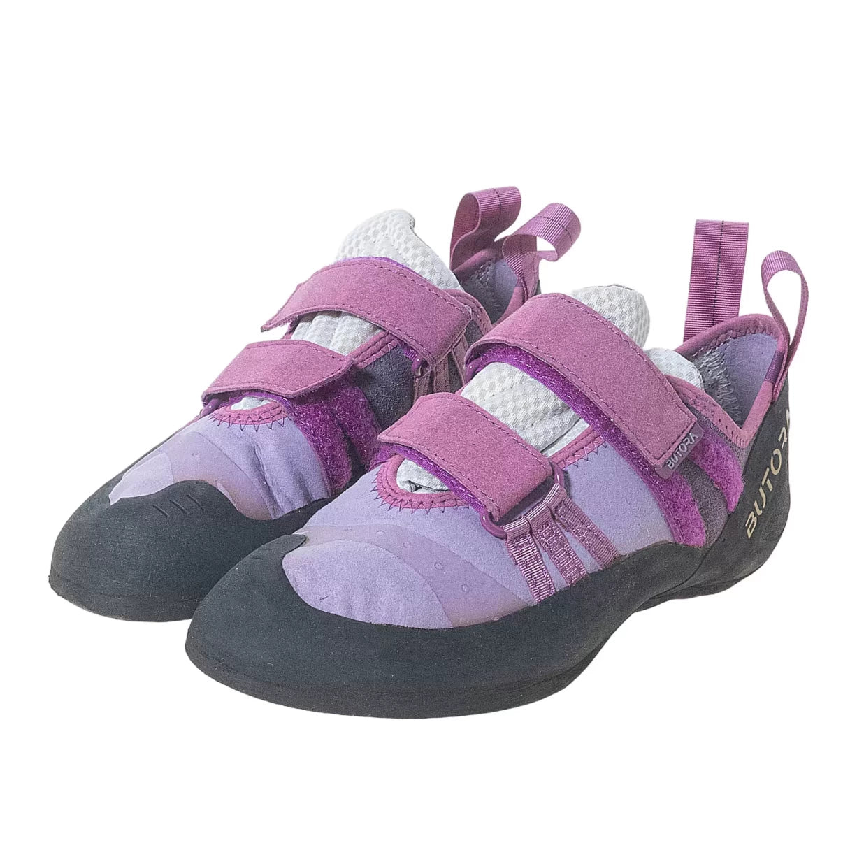 41.5Purple