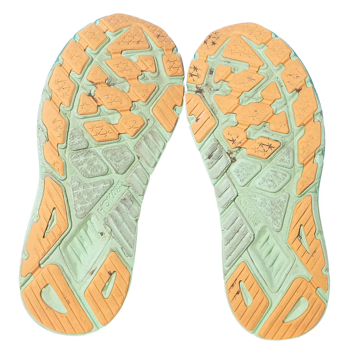 9.5Blue/Green