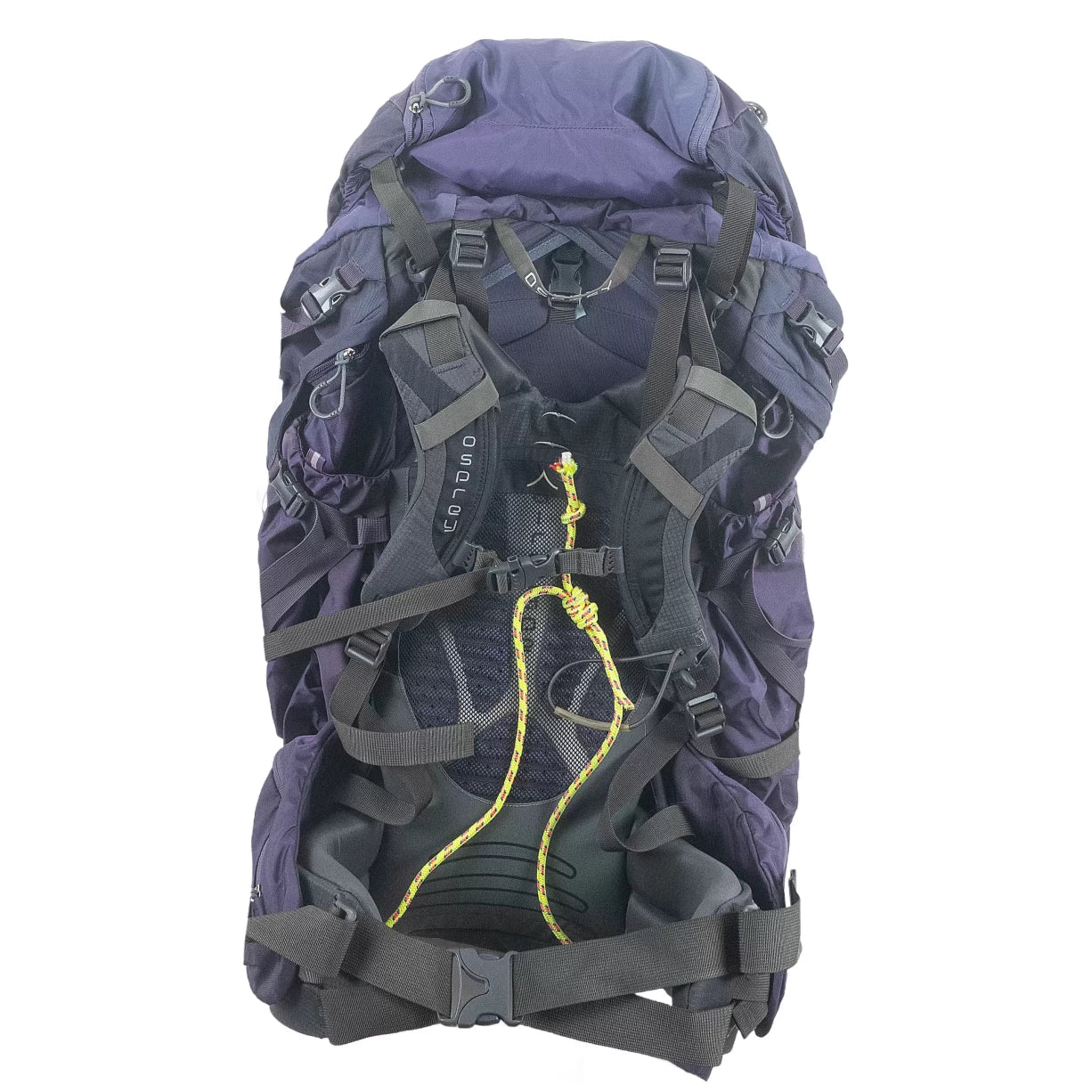 SPurple