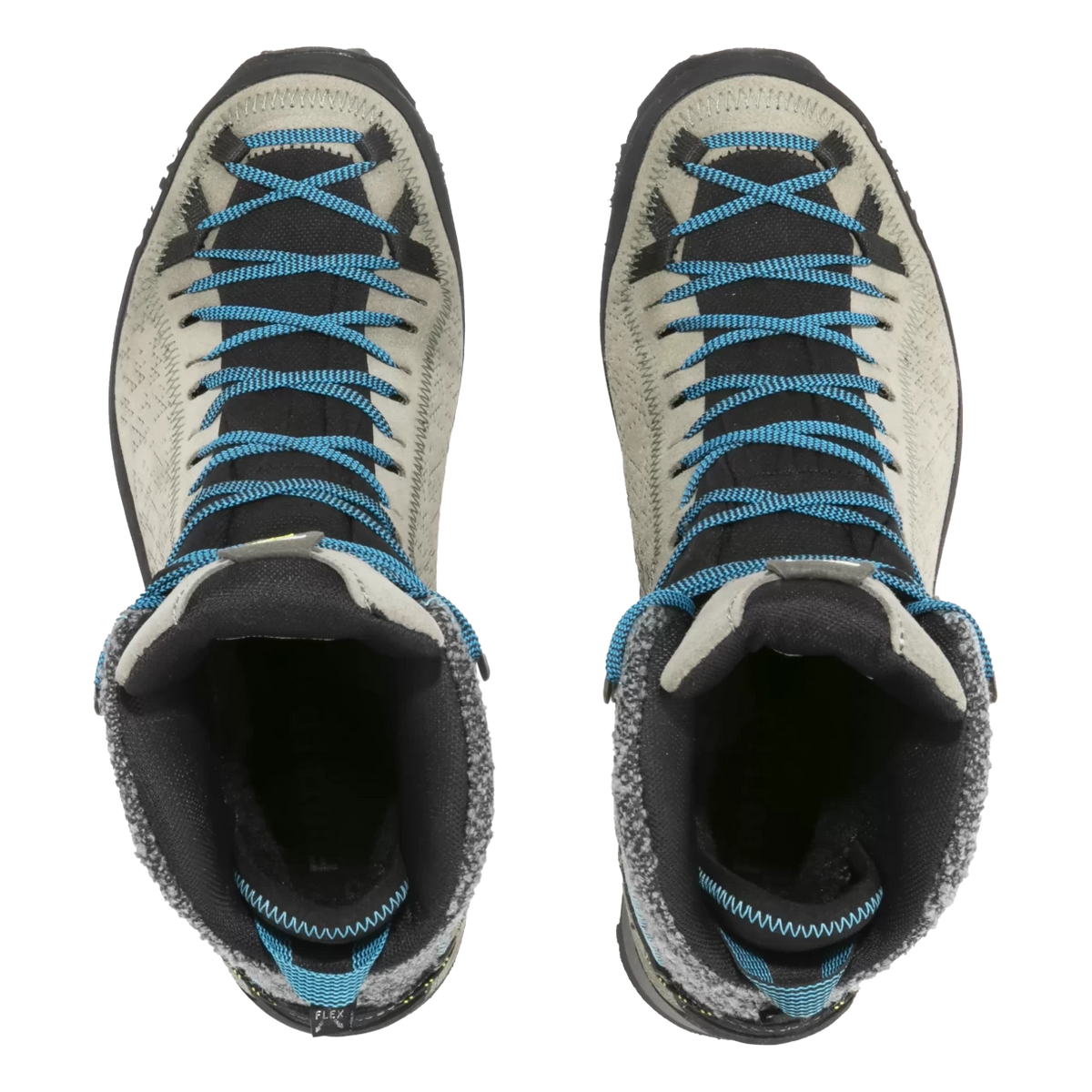 7Bungee Cord/Delphinium
