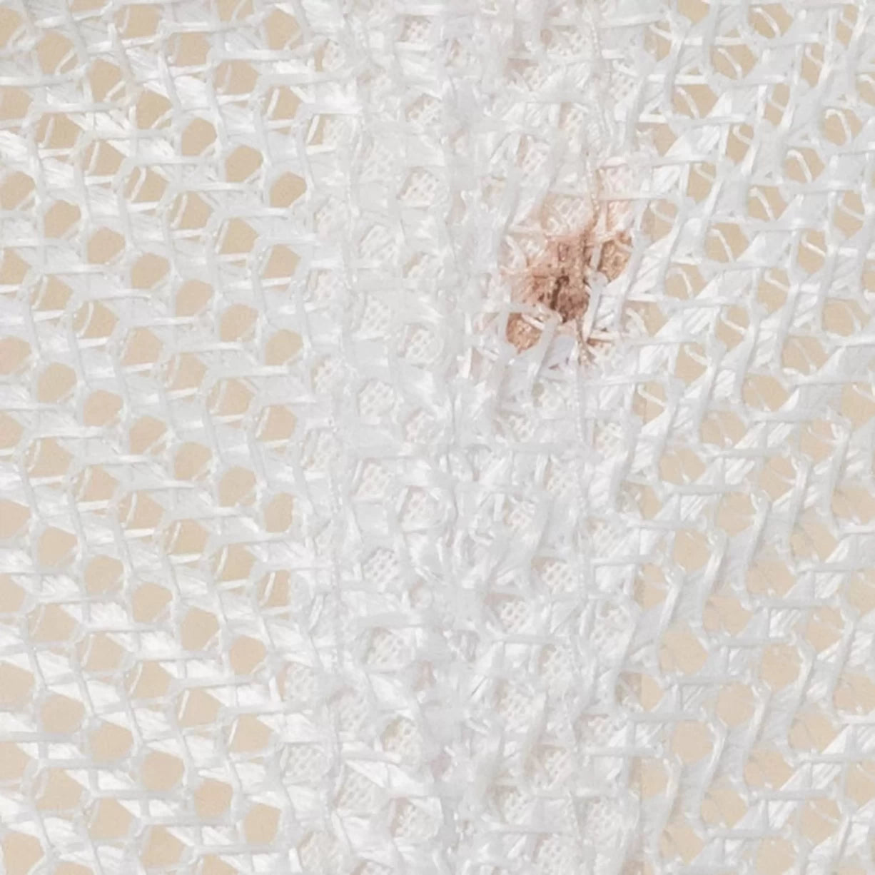 AdjustableWhite/Blue