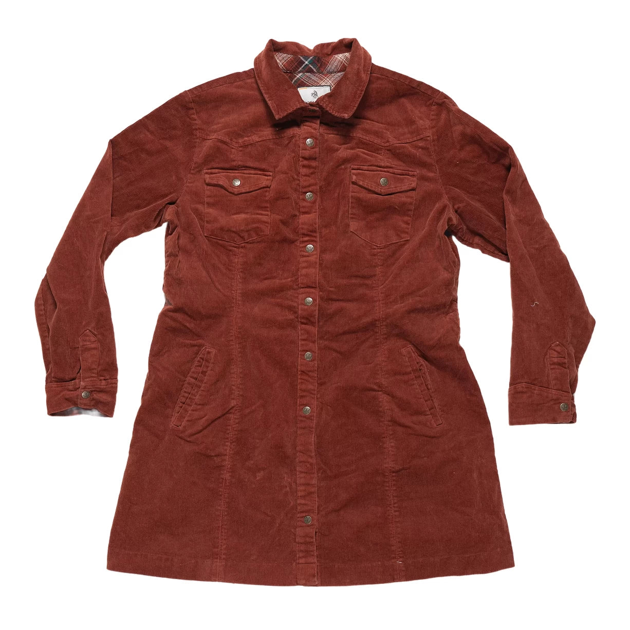 XXLBurnt Orange