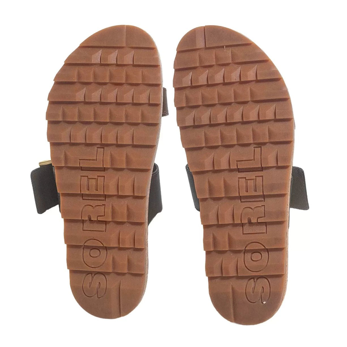 8Brown