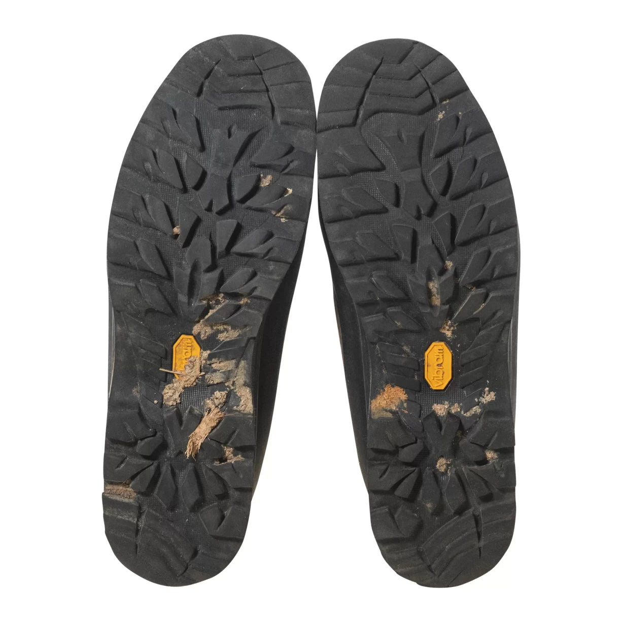 Estimated 8/9Light Brown