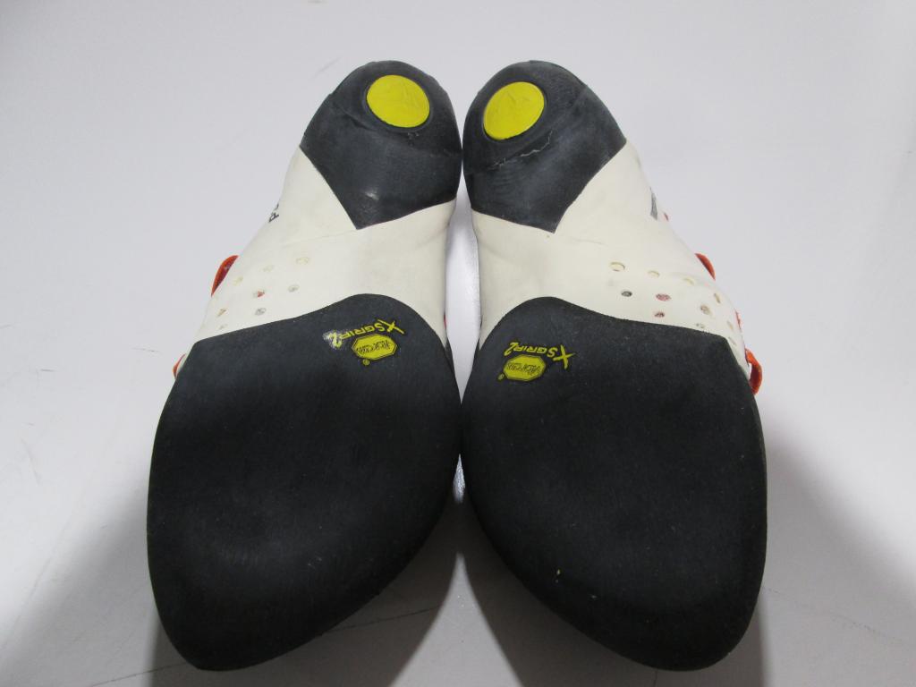 41White/Lily Orange