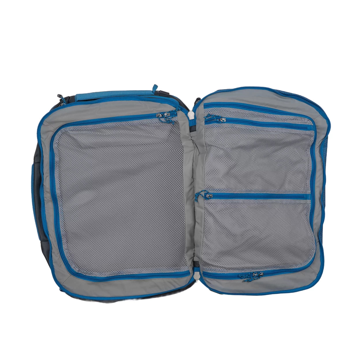 36 LBlue