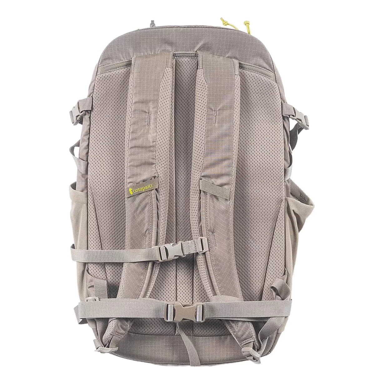32 LBrown