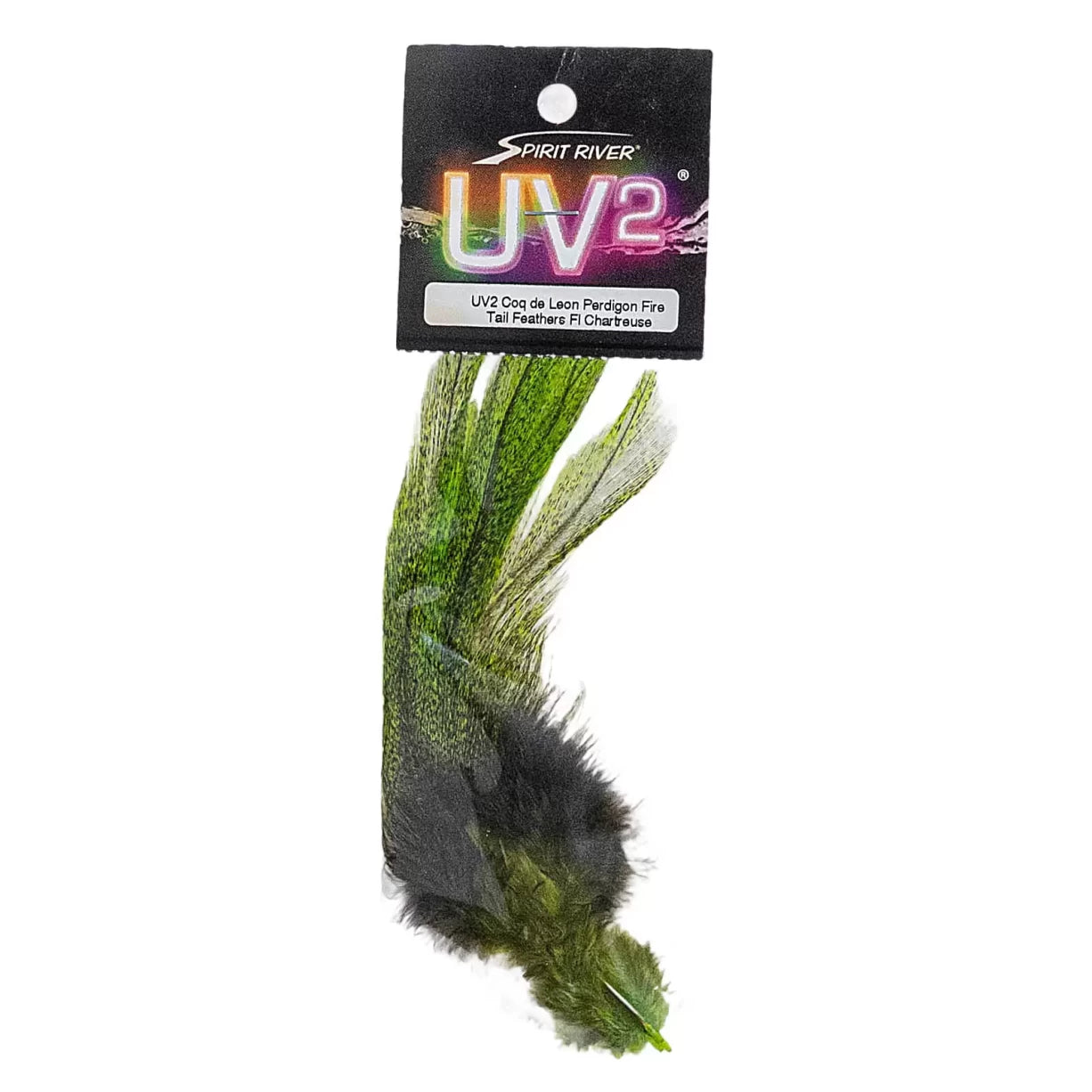 One SizeGreen