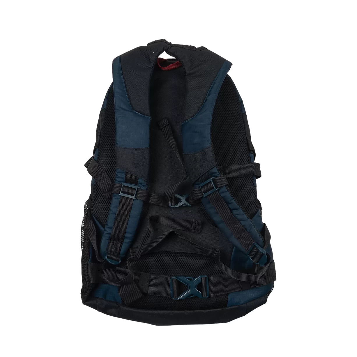 30 LBlue