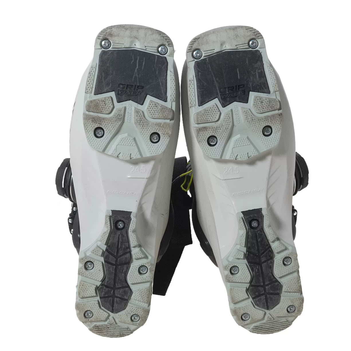 24.5White/Black