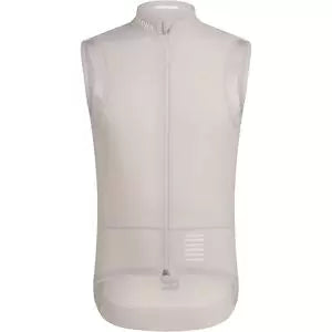 SSilver Gray/White Alyssum