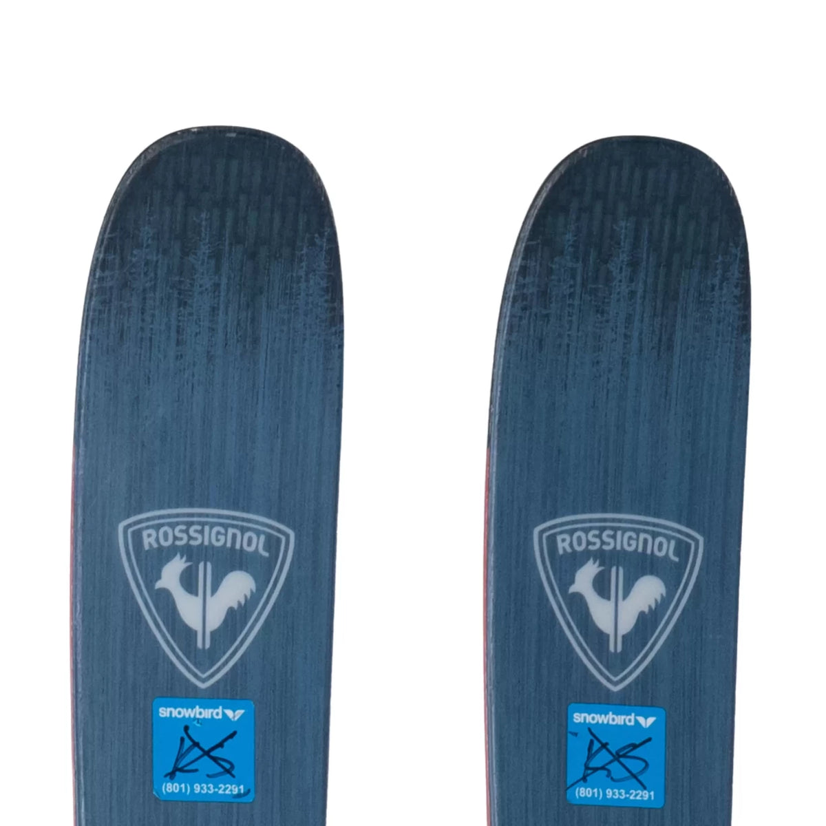 164cmPink/Blue
