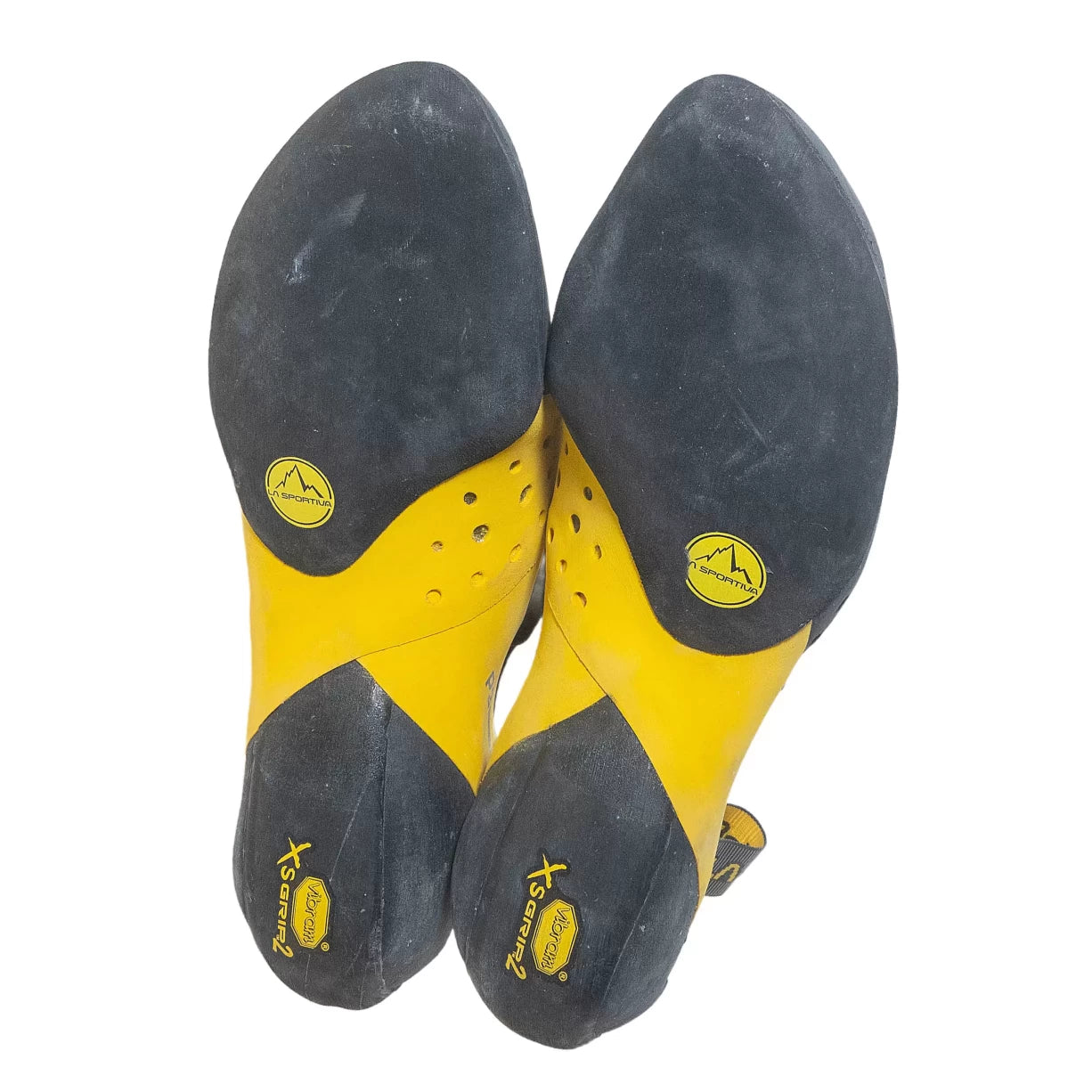 41.0Black/Yellow