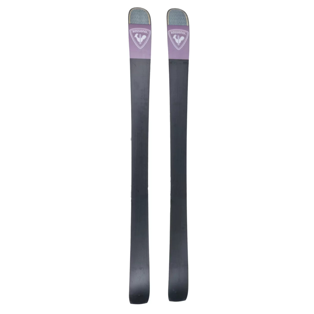 156cmPurple