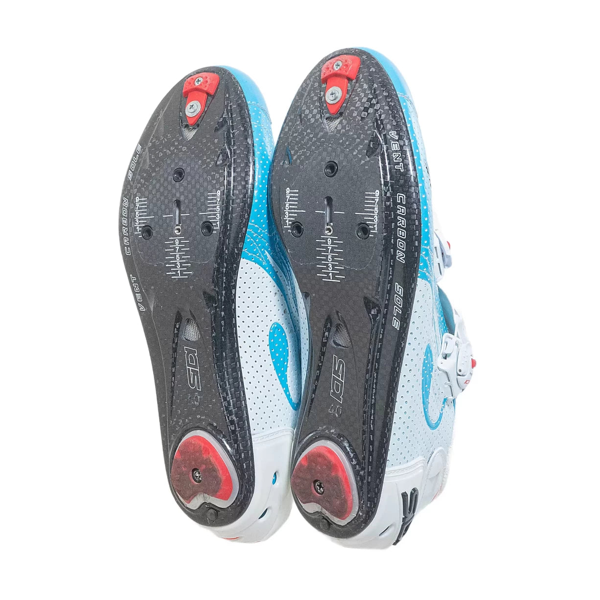 40.5White/Blue