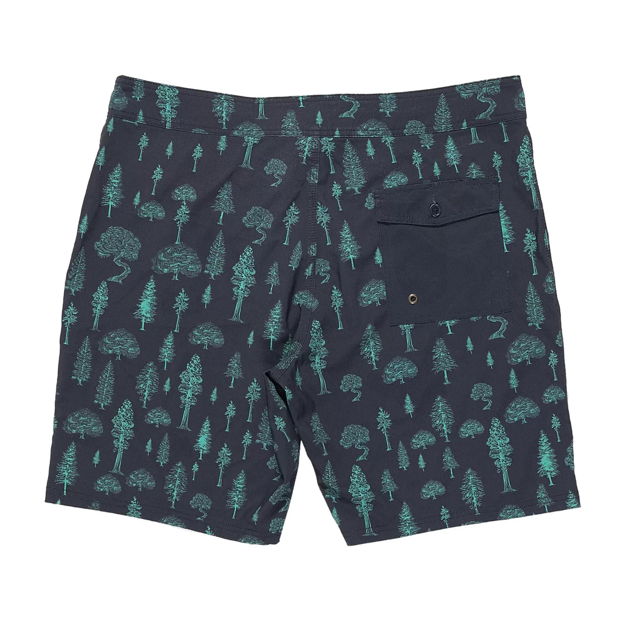 38Black/Green