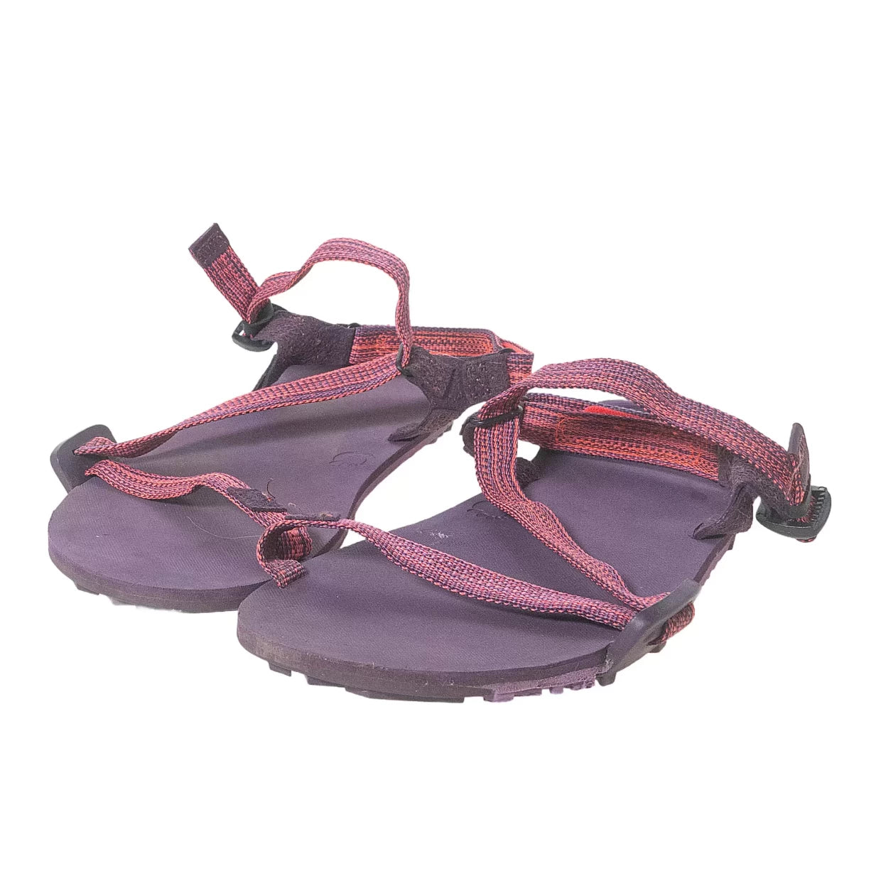 8Purple/Pink