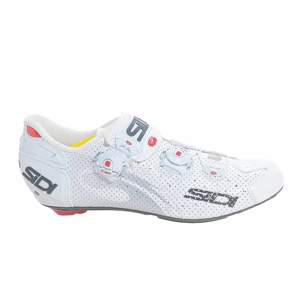 41.0White