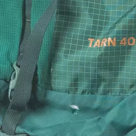 40 LGreen