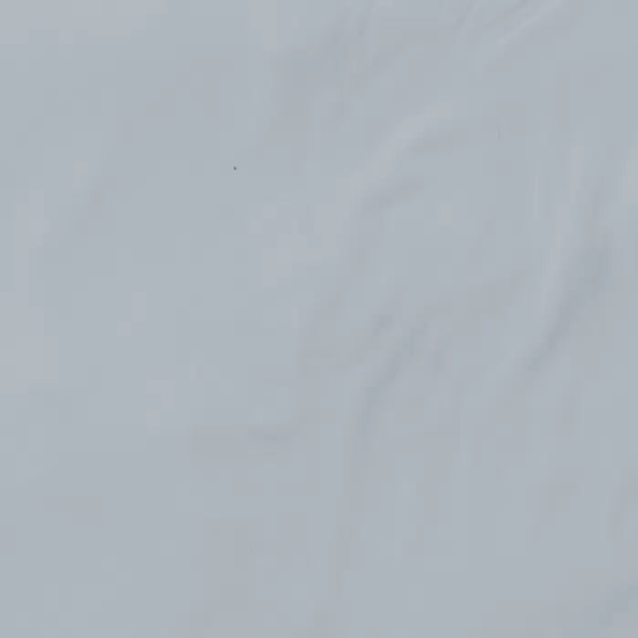 XLTWhite