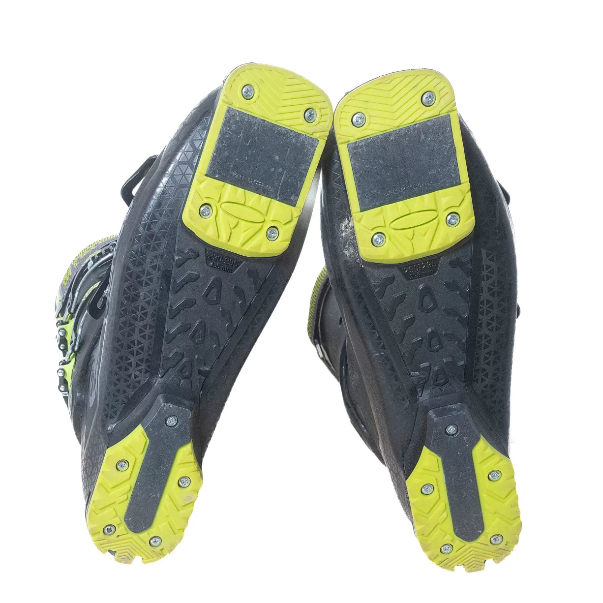 29.5Black