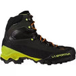 40.5Carbon/Lime Punch