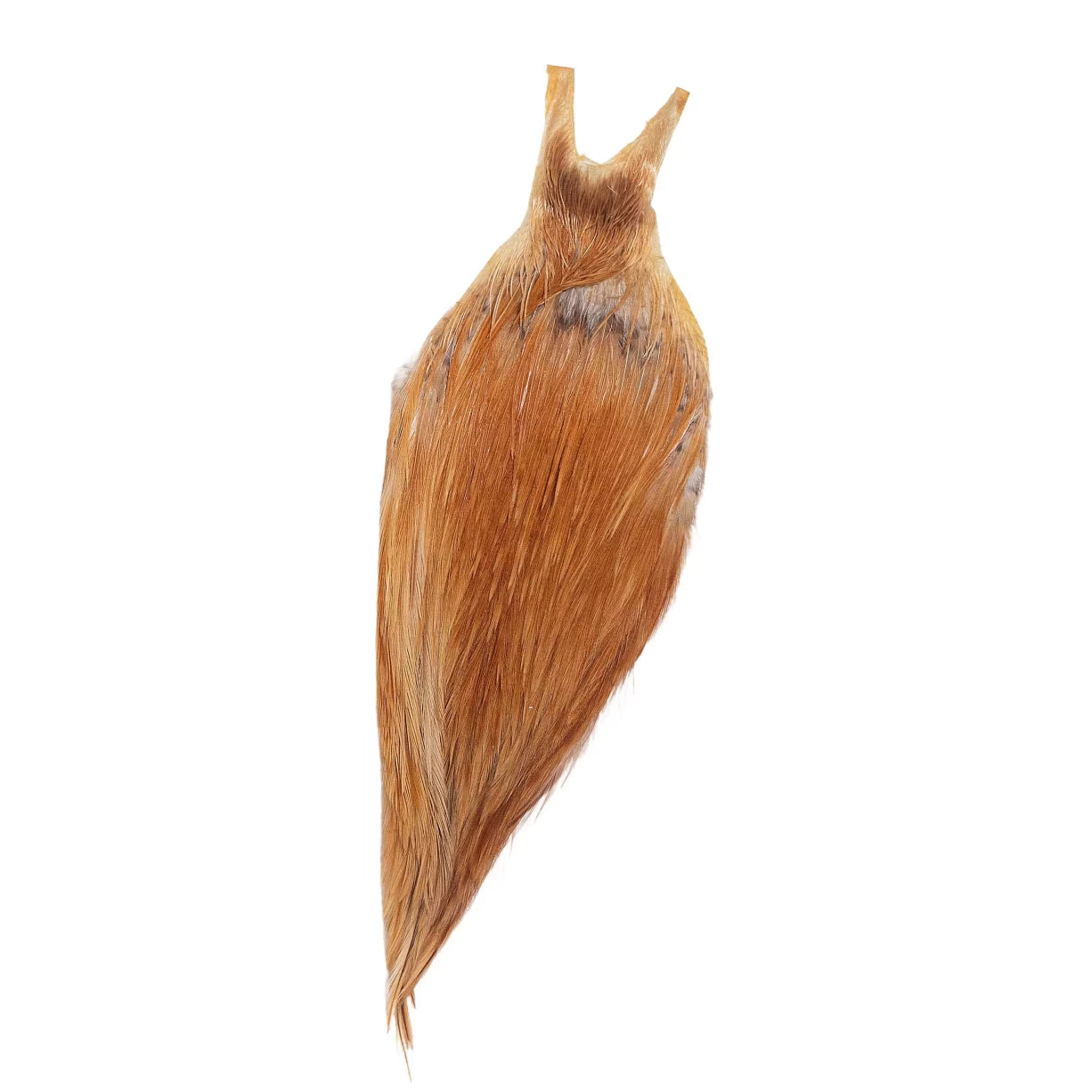 One SizeGolden