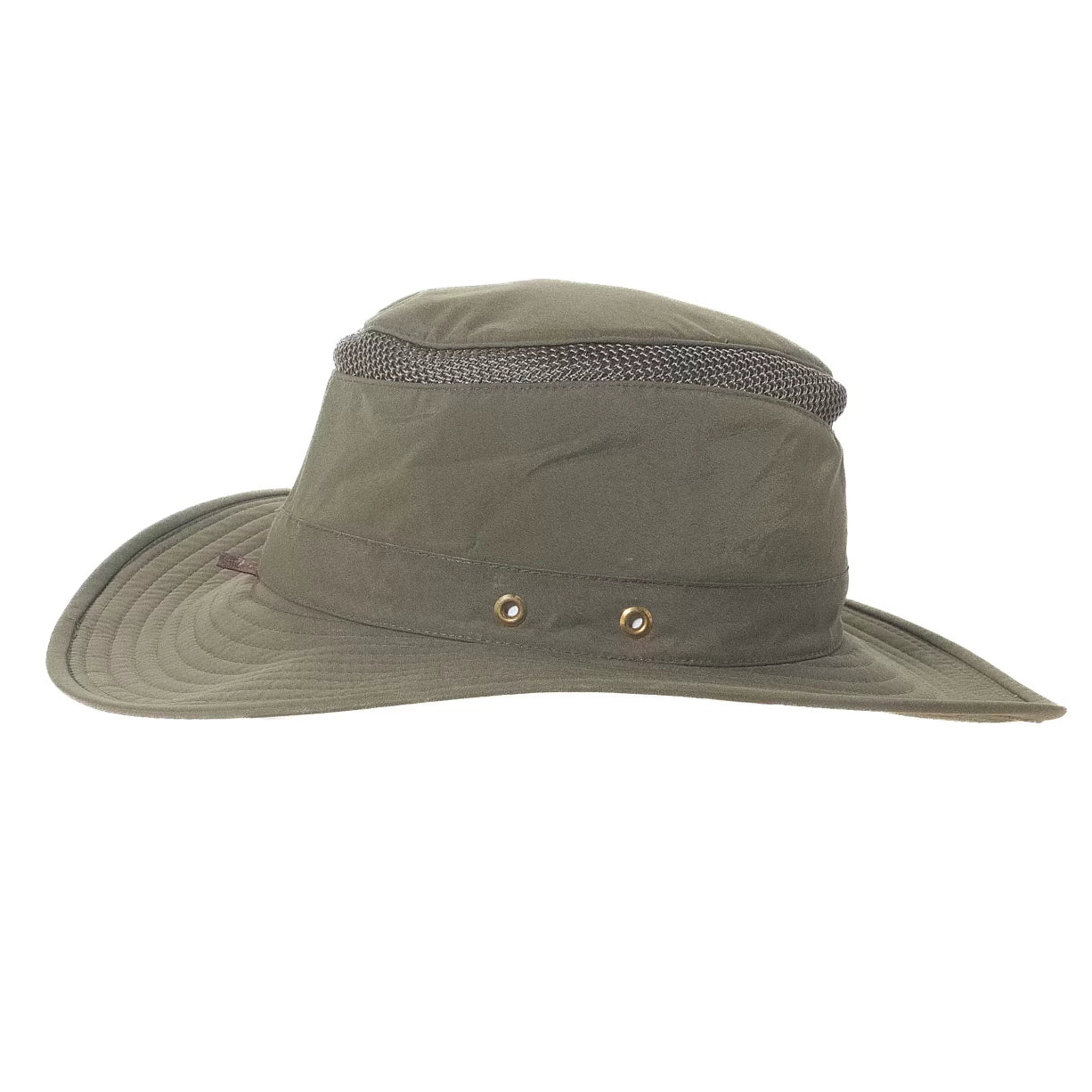7.5Olive