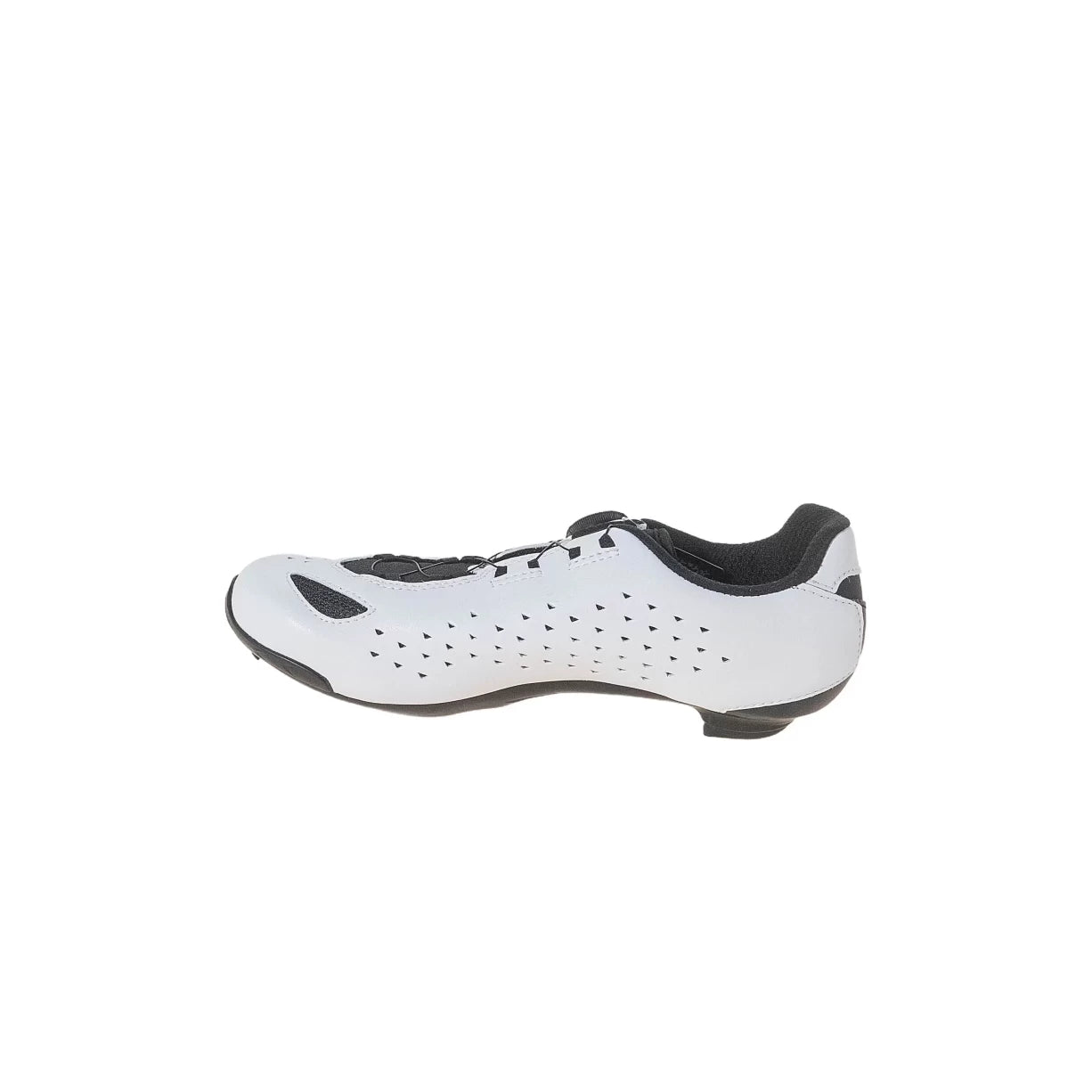 41.0White/Black