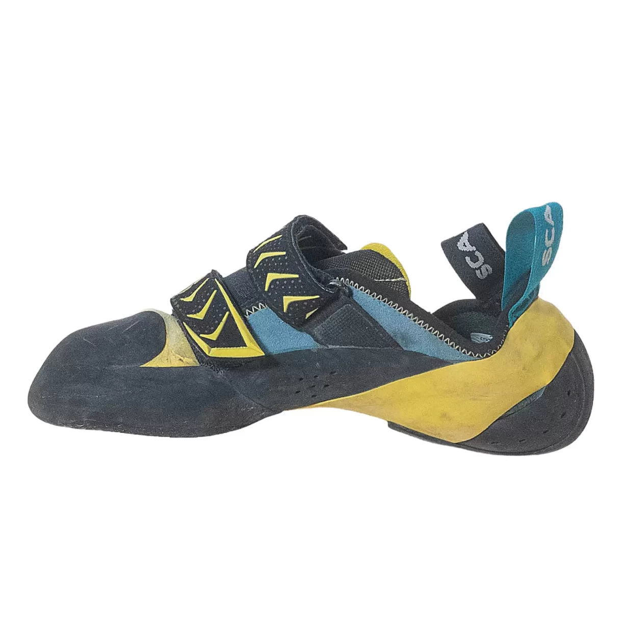 41.0Yellow/Blue