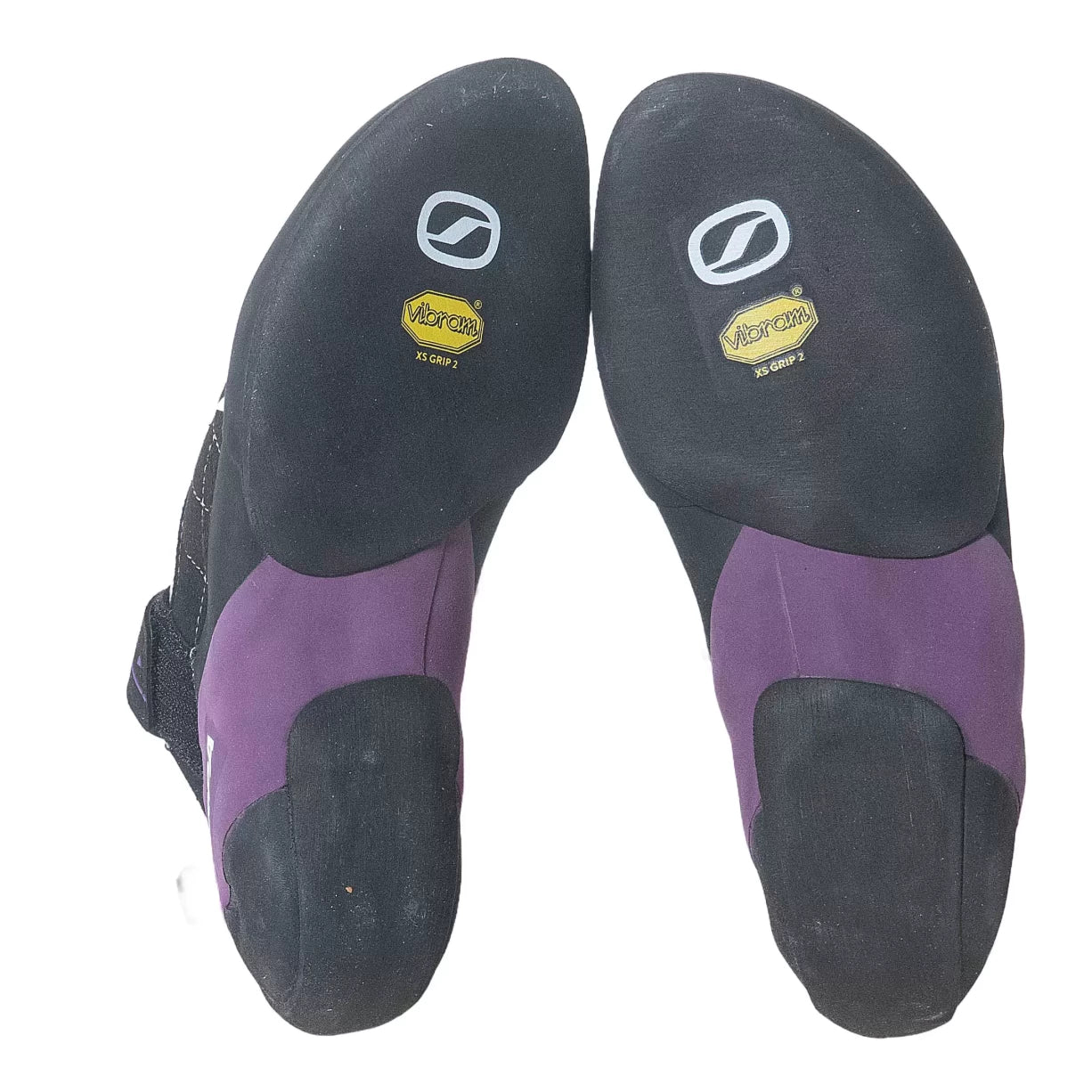 43.0Black/Purple