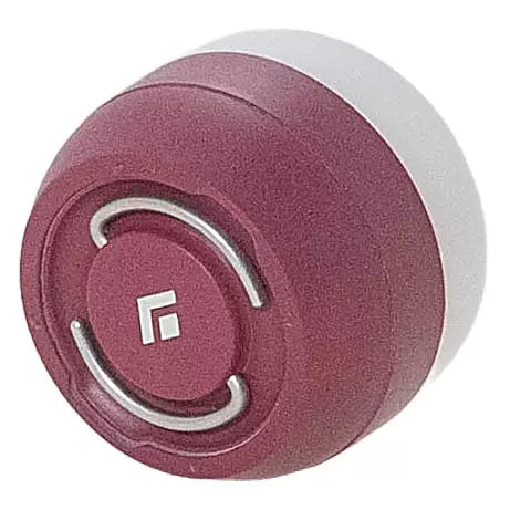 OneBerry