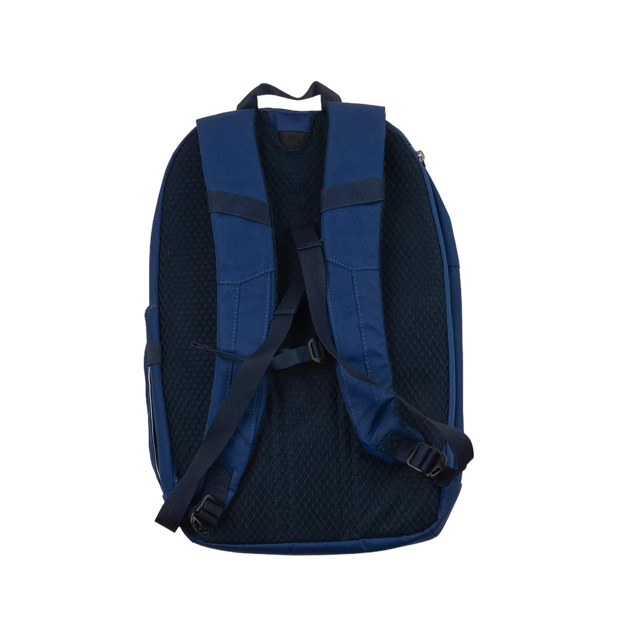 25 LBlue