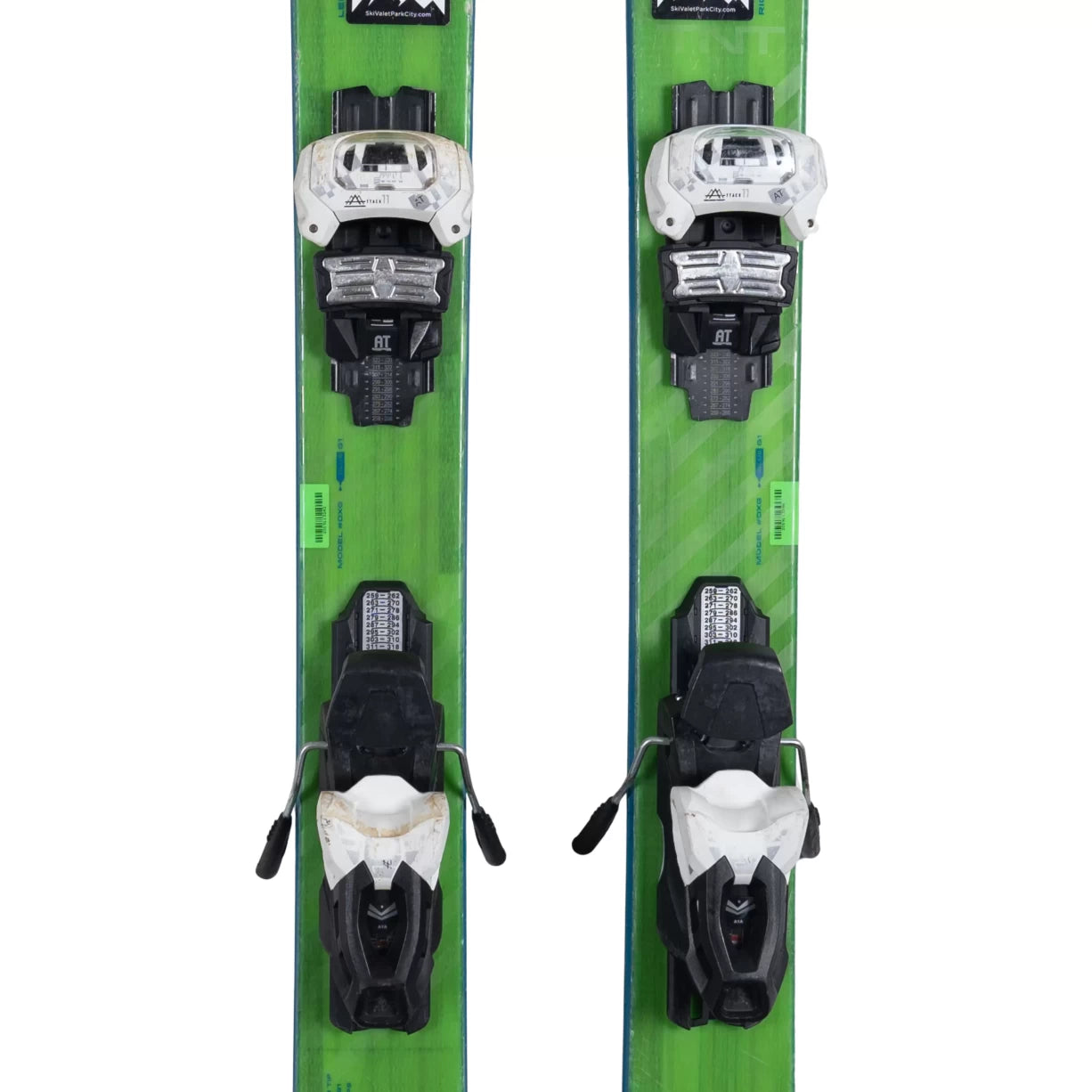 181cmGreen