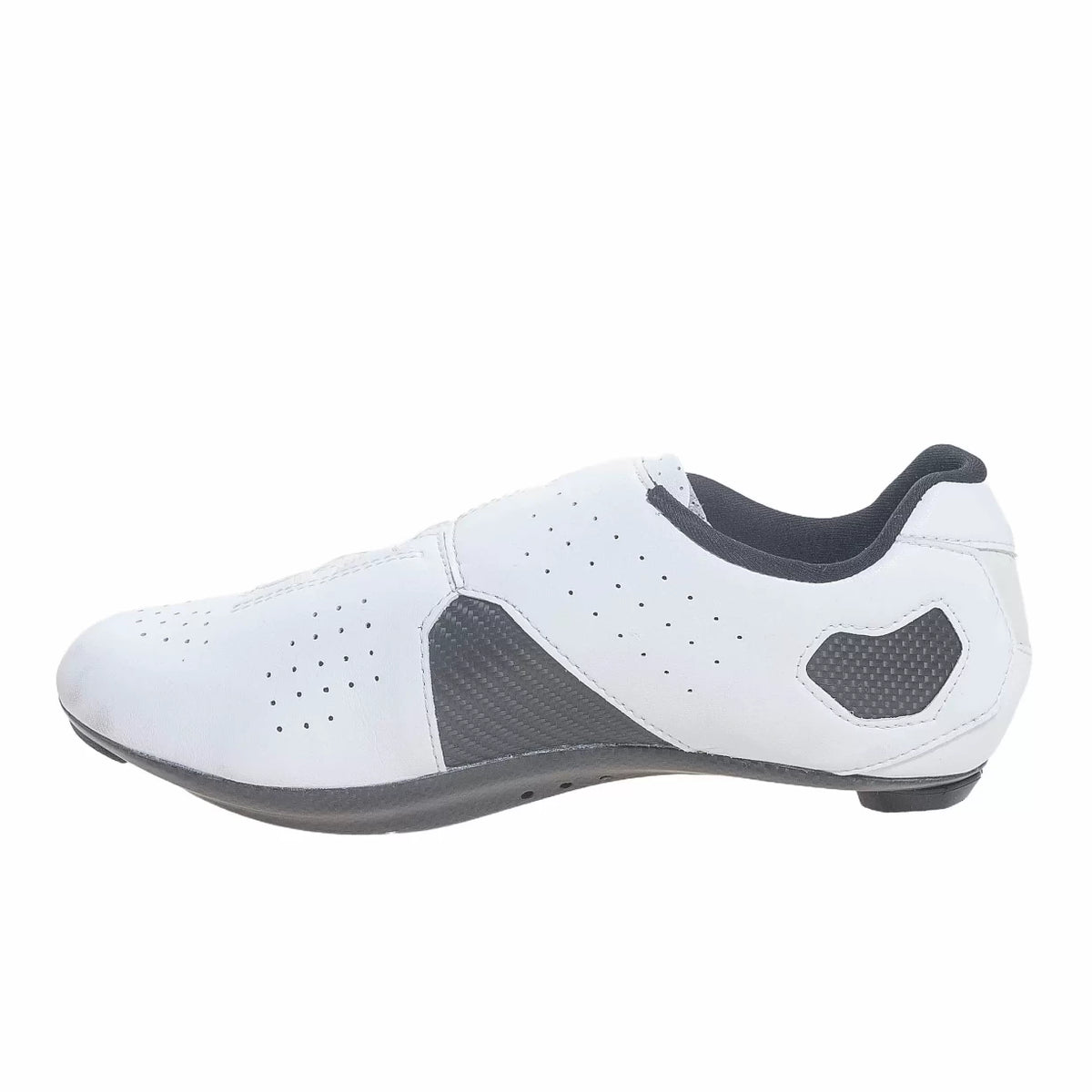 43.0White