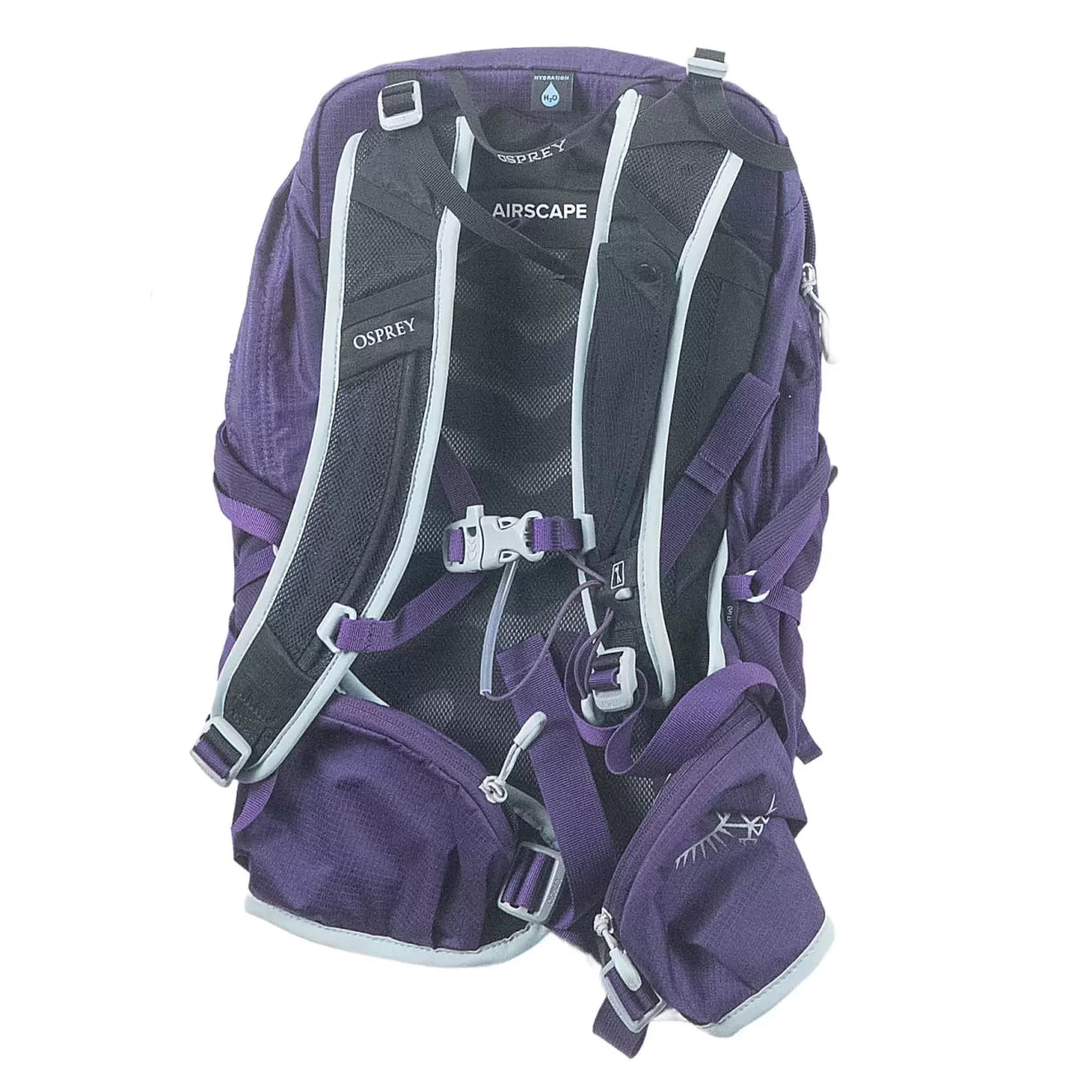 XS/SPurple
