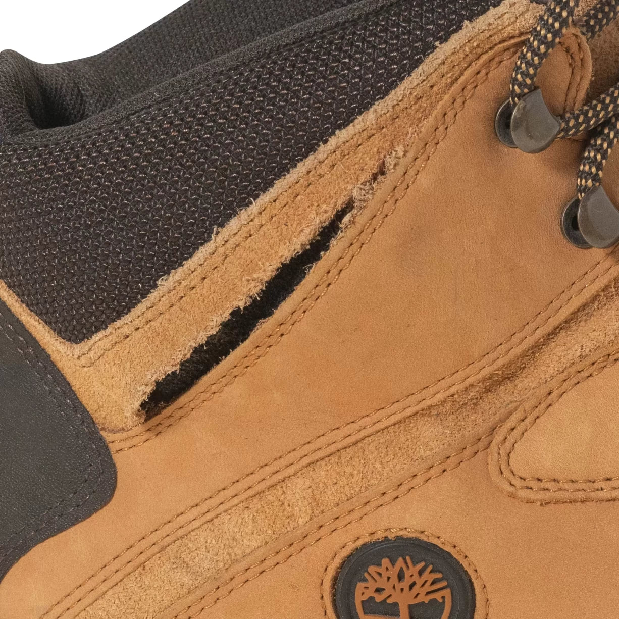 11.5Wheat