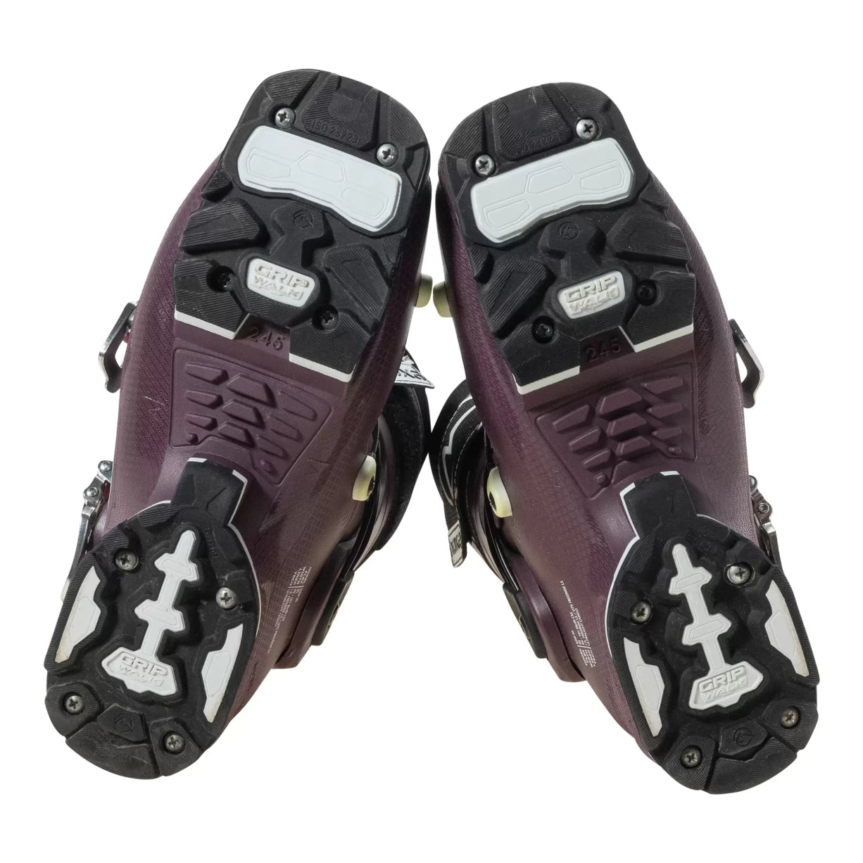 24.5Plum