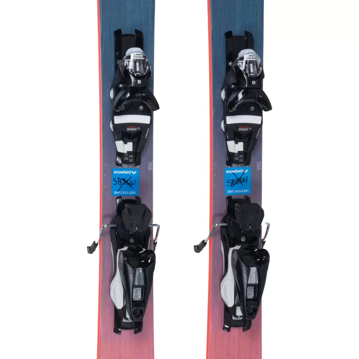 164cmBlue/Pink