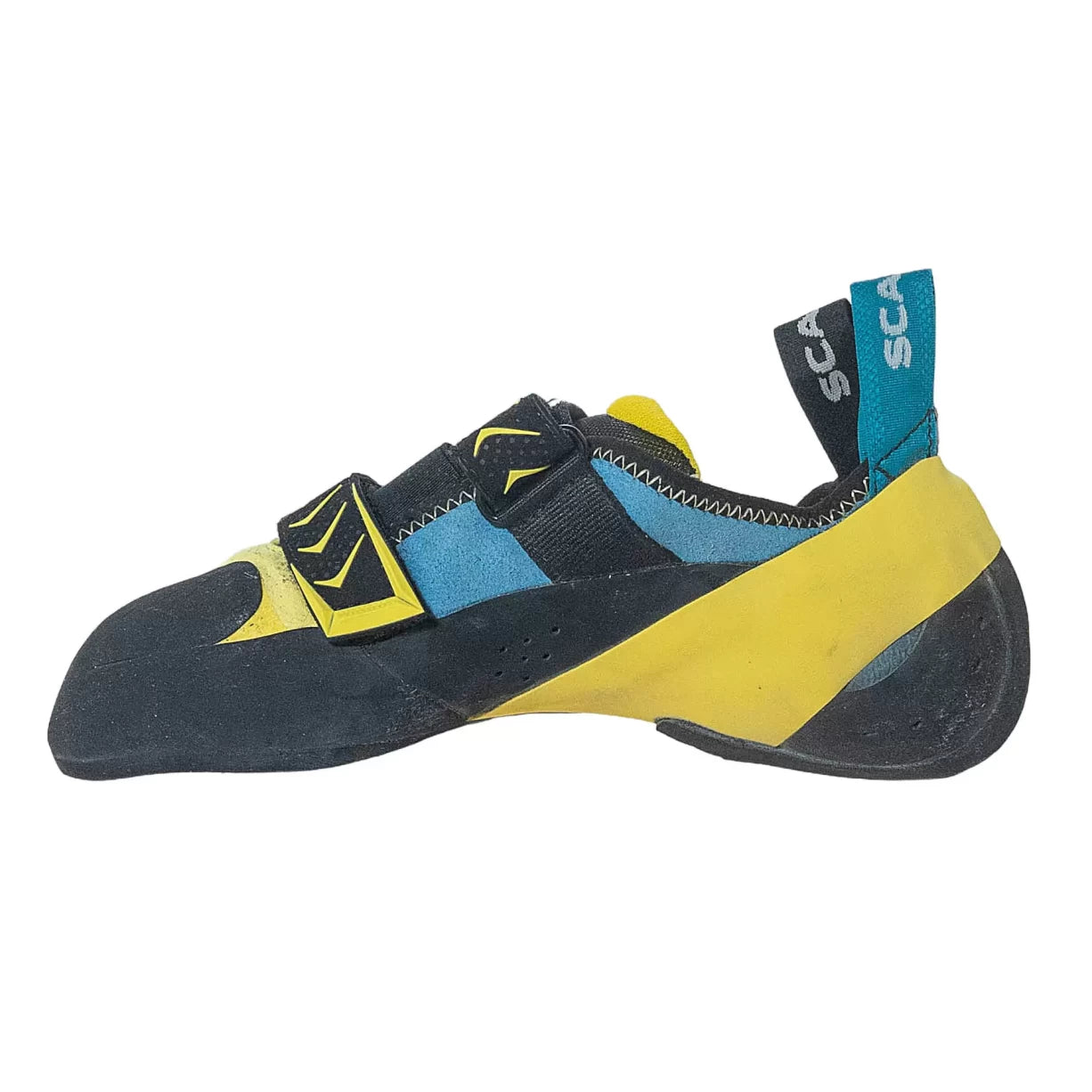 41.0Yellow/Blue