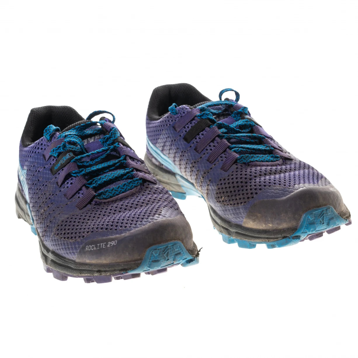 6Purple Heart/Periwinkle